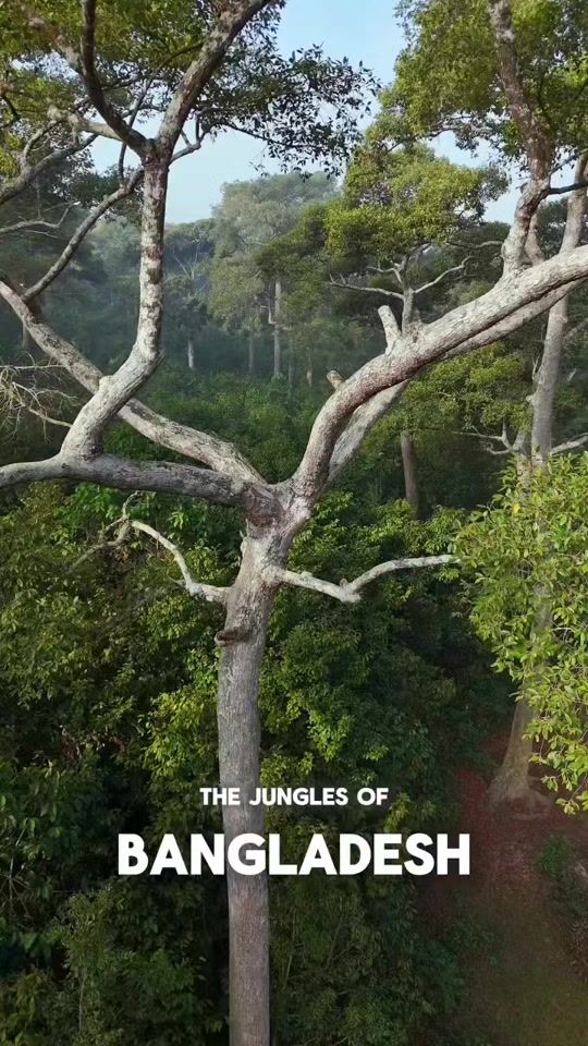 TikTok video thumbnail by saifulislamrakin7