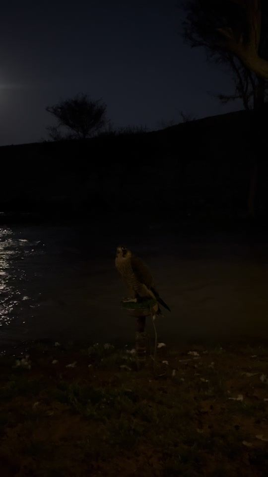 TikTok video thumbnail by a1rvr