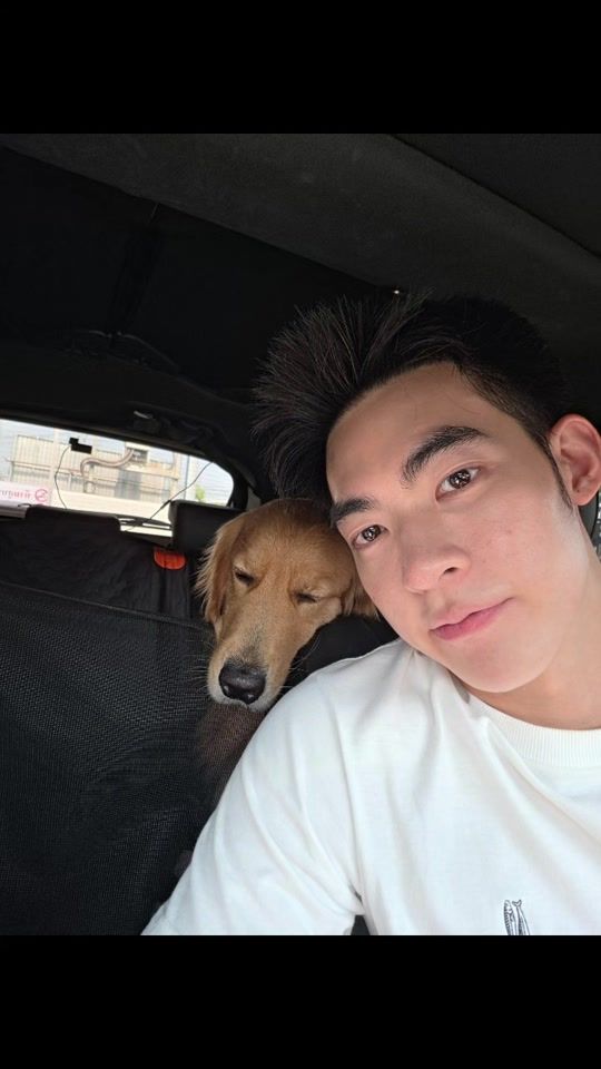 TikTok video thumbnail by greenkungz
