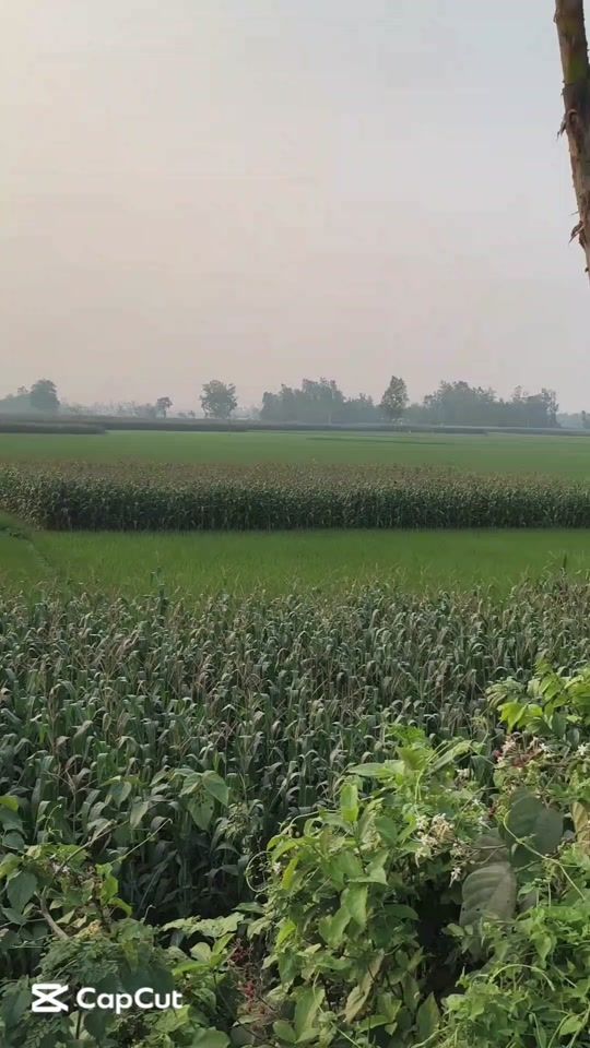 TikTok video thumbnail by bdtiktoker2004