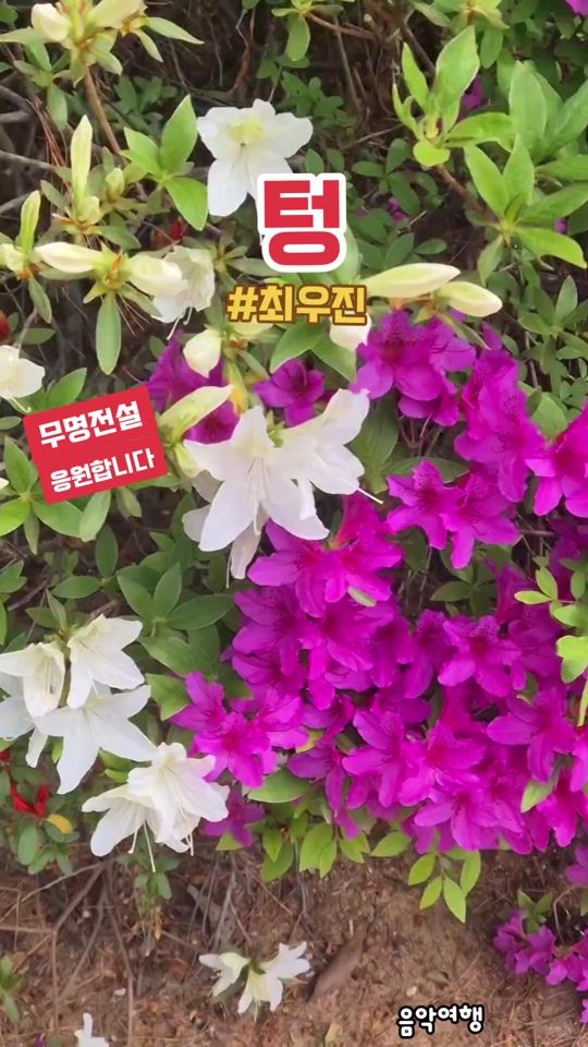 TikTok video thumbnail by smile77ab