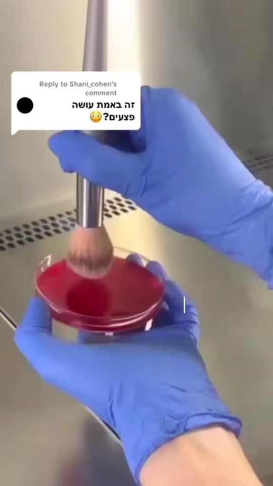 TikTok video thumbnail by elish.96