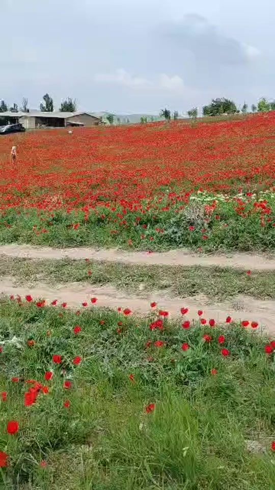 TikTok video thumbnail by andijon_38_38