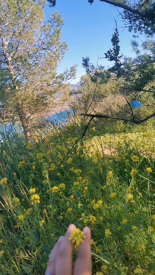 TikTok video thumbnail by fatihaam4