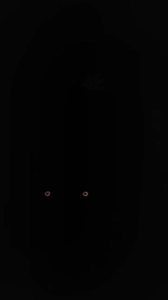 TikTok video thumbnail by corujinhatop