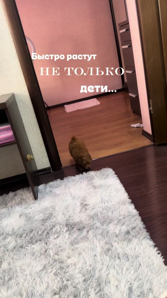 TikTok video thumbnail by _valeta_