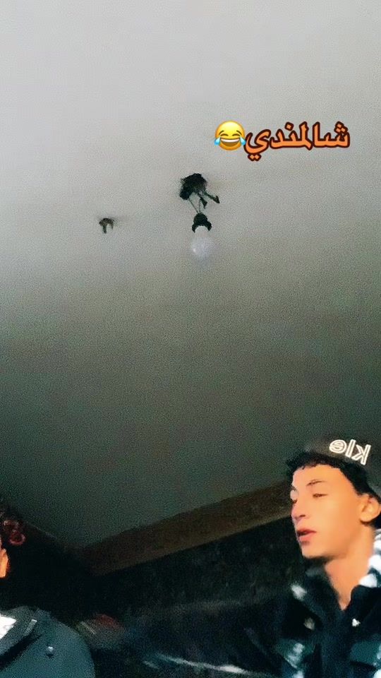 TikTok video thumbnail by xx_kohla_xx
