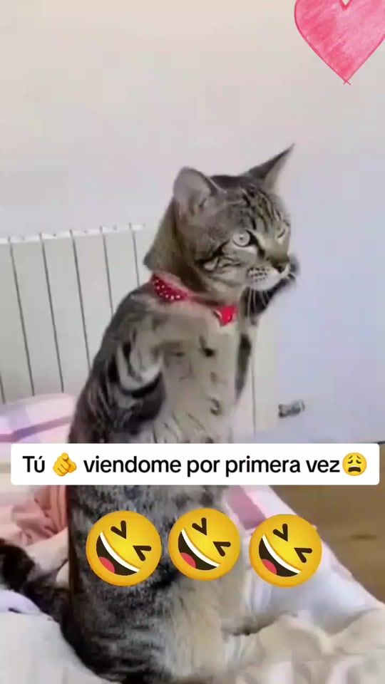 TikTok video thumbnail by doblea_a05