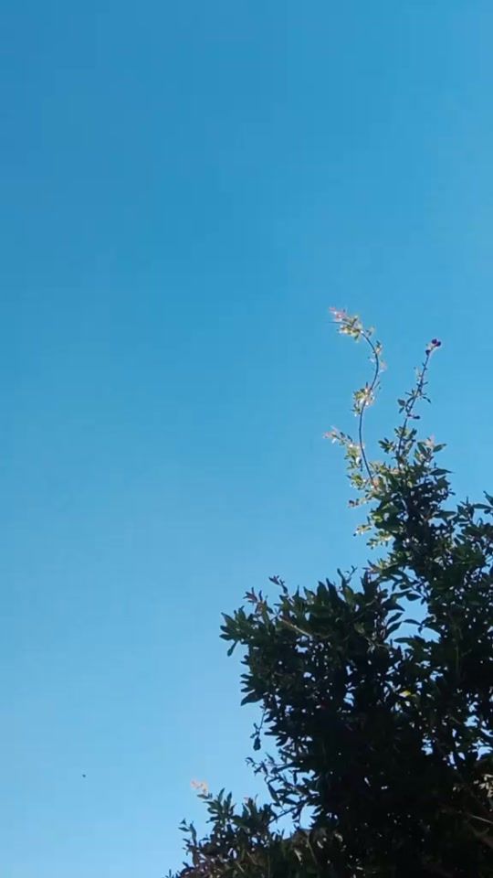 TikTok video thumbnail by user4357132003323