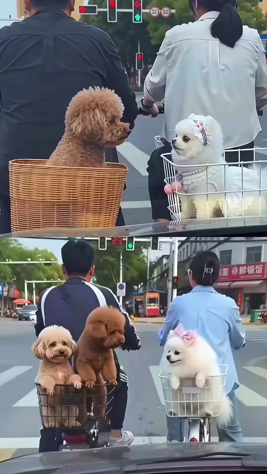 TikTok video thumbnail by easonchang76