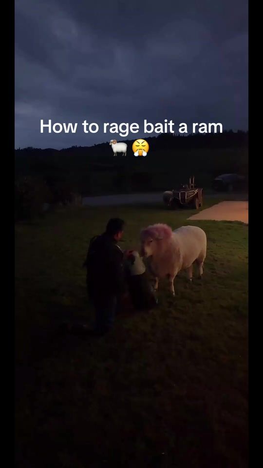 TikTok video thumbnail by mikaerabro