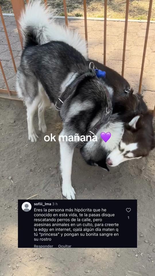 TikTok video thumbnail by bjork.hernandez