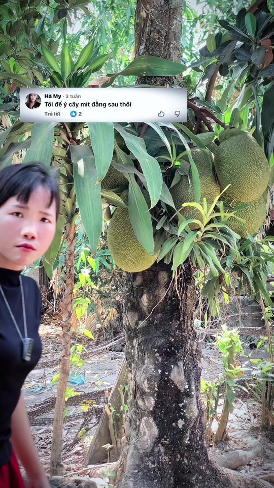 TikTok video thumbnail by mai_sara22