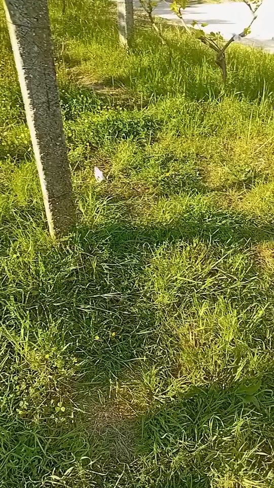 TikTok video thumbnail by mondi_088