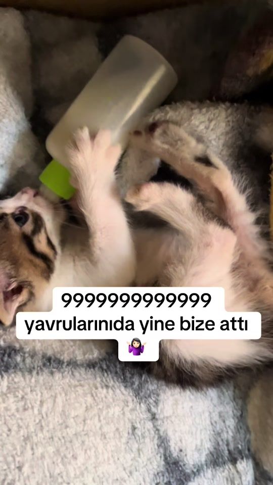 TikTok video thumbnail by raziyesulltan