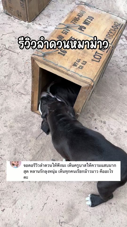 TikTok video thumbnail by do.bazuka