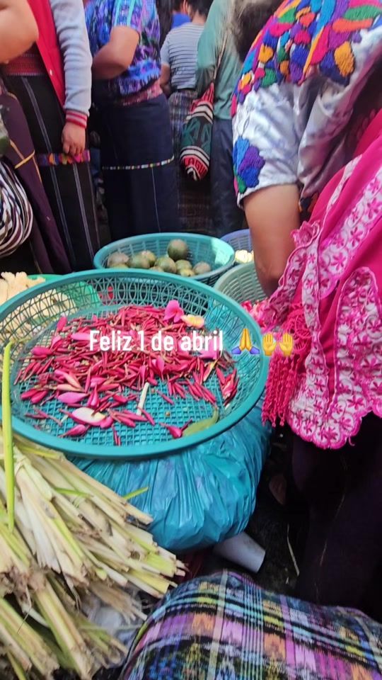TikTok video thumbnail by catalinatzepp