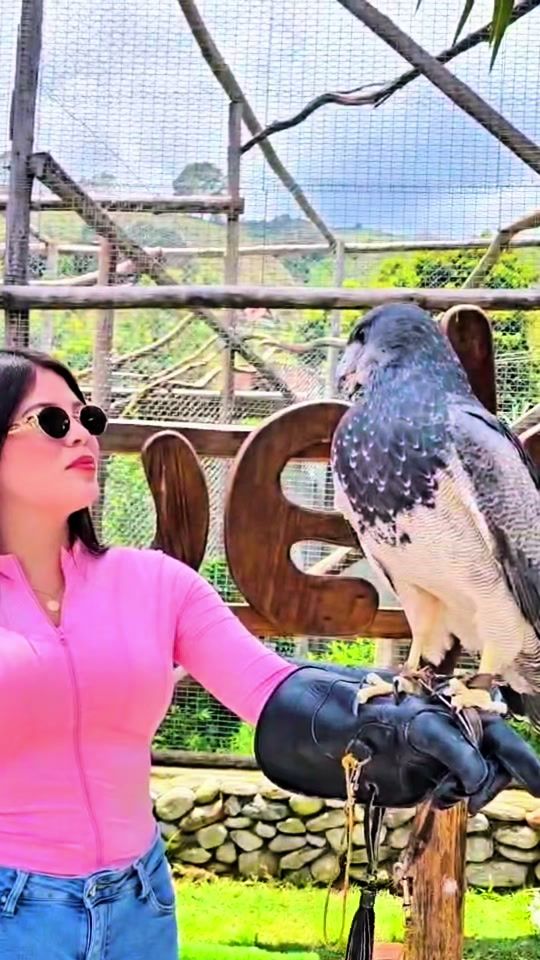 TikTok video thumbnail by sinisterraandreina