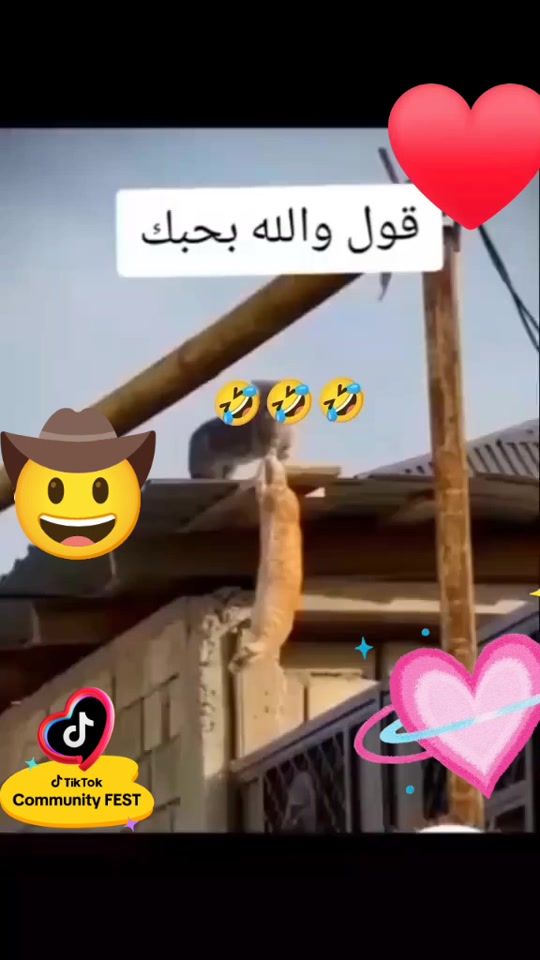 TikTok video thumbnail by adel222210