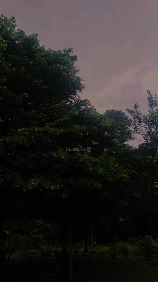 TikTok video thumbnail by _tinoo16