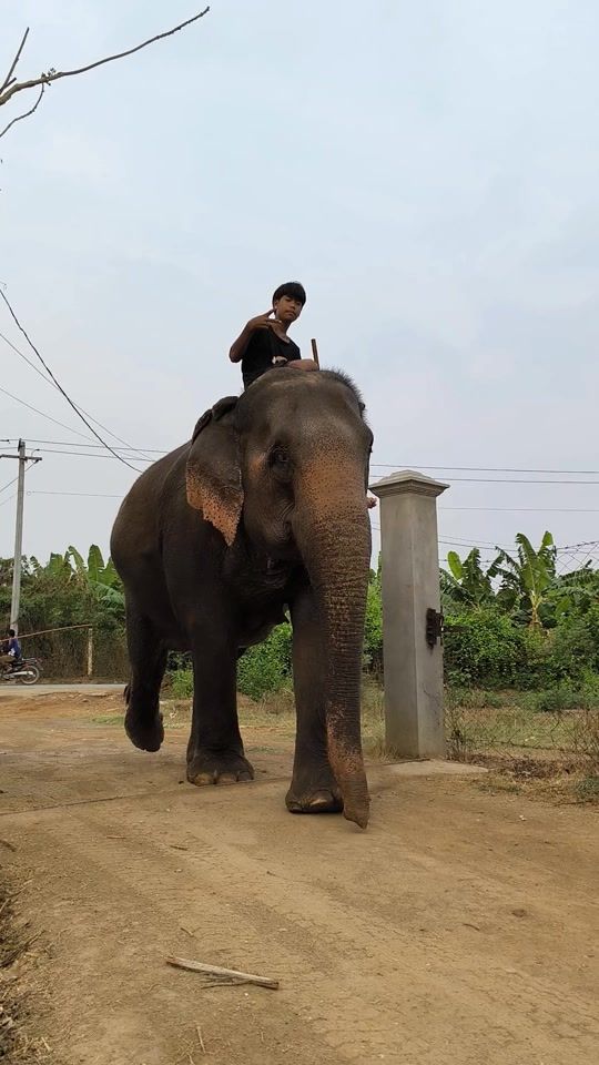 TikTok video thumbnail by myothu123409