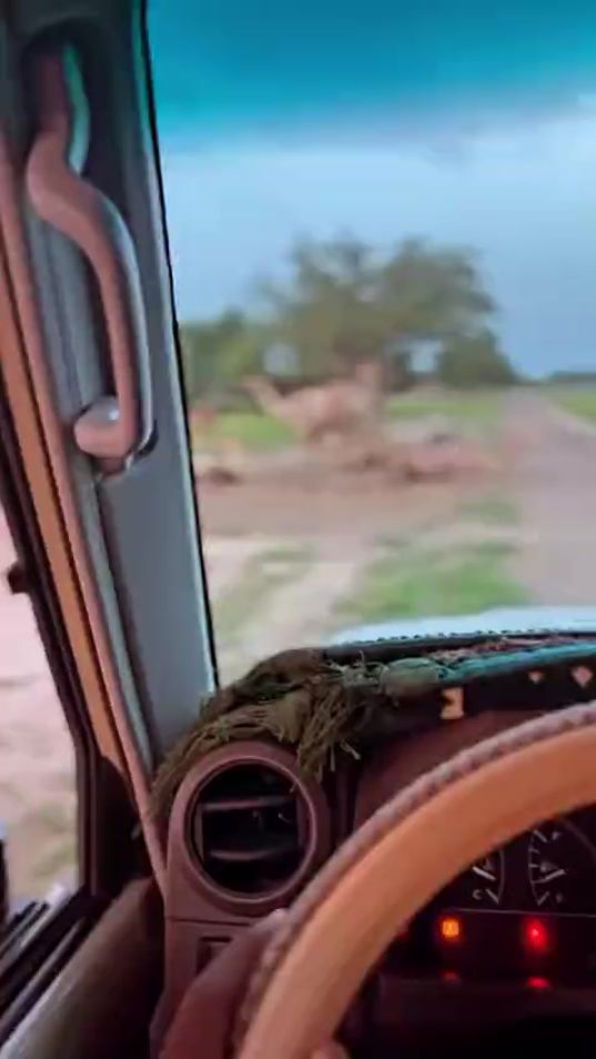 TikTok video thumbnail by aboulfathiabadi
