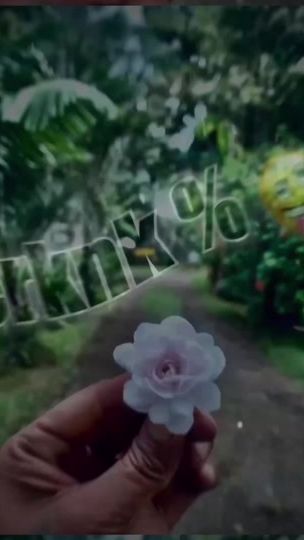 TikTok video thumbnail by _sofarsogoood