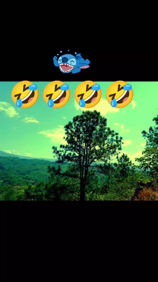 TikTok video thumbnail by el.nio5566