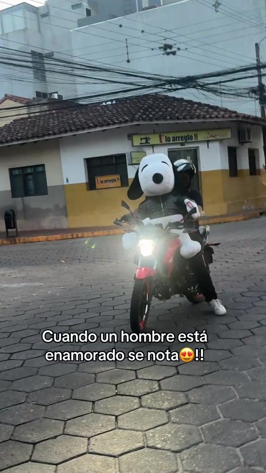 TikTok video thumbnail by dararegalos