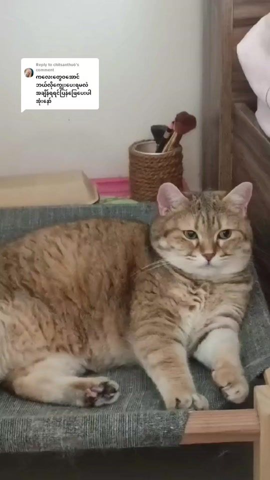 TikTok video thumbnail by kawkaw6