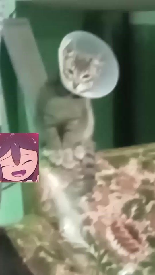 TikTok video thumbnail by any_blox21
