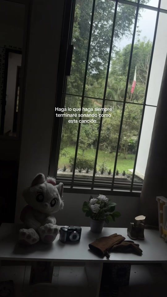 TikTok video thumbnail by valentina_gartell