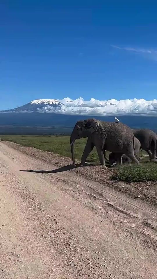 TikTok video thumbnail by zuber.mcharo