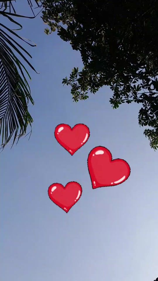 TikTok video thumbnail by cleonicecarvalho619