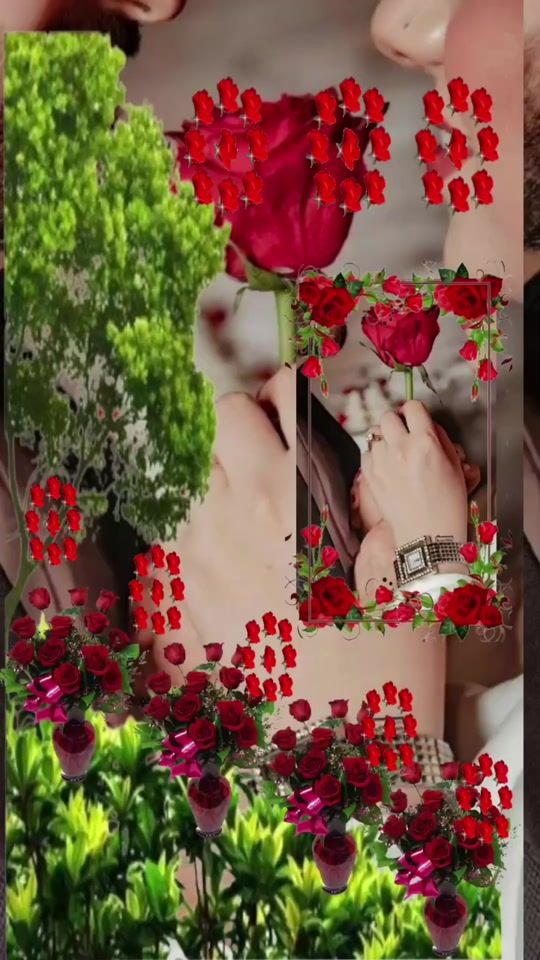 TikTok video thumbnail by user8147680660967