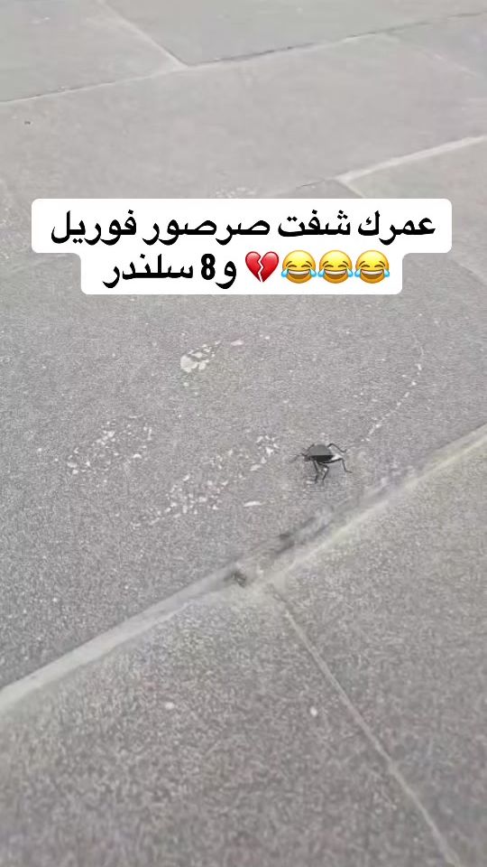 TikTok video thumbnail by fxxq99