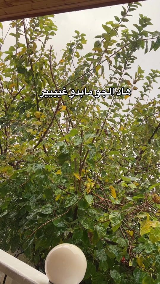 TikTok video thumbnail by islamqawabaa2