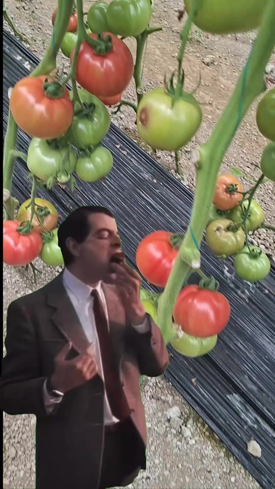 TikTok video thumbnail by berati_150