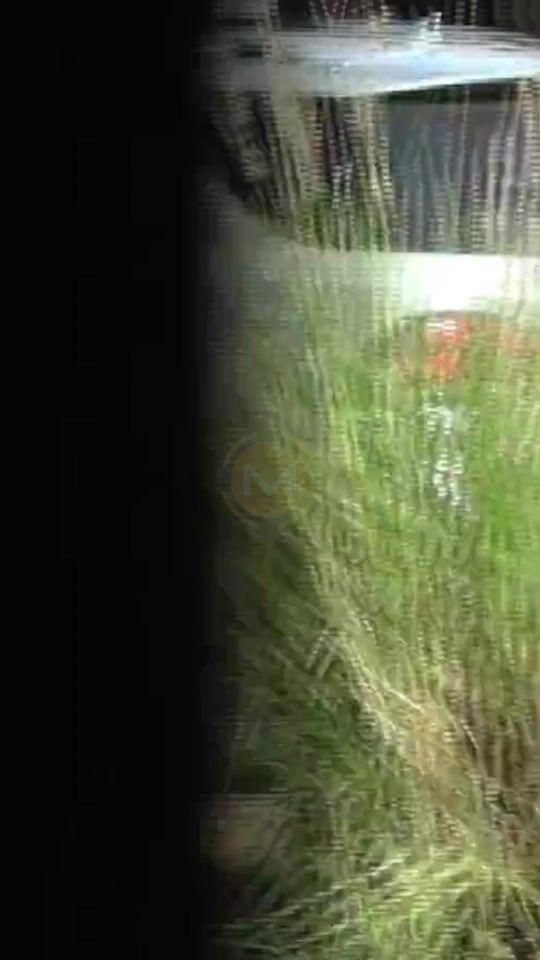TikTok video thumbnail by monumentalam1080