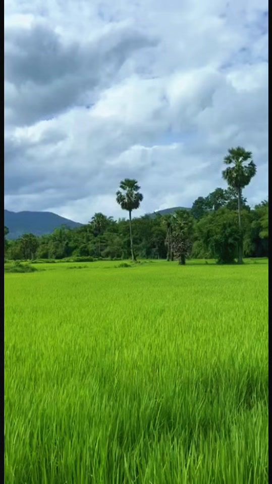 TikTok video thumbnail by v.sophorn