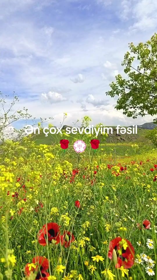 TikTok video thumbnail by _____gunka_____