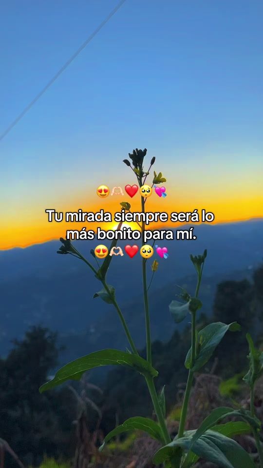 TikTok video thumbnail by vivianogomezgt