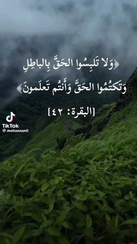 TikTok video thumbnail by user5528077595945