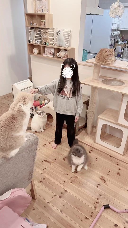 TikTok video thumbnail by puuuutttyo