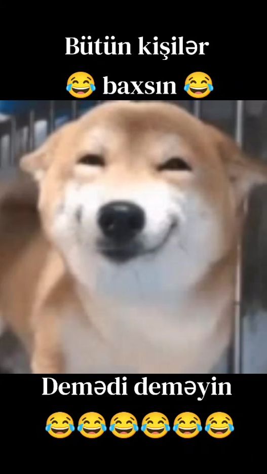 TikTok video thumbnail by naxcivan_2026