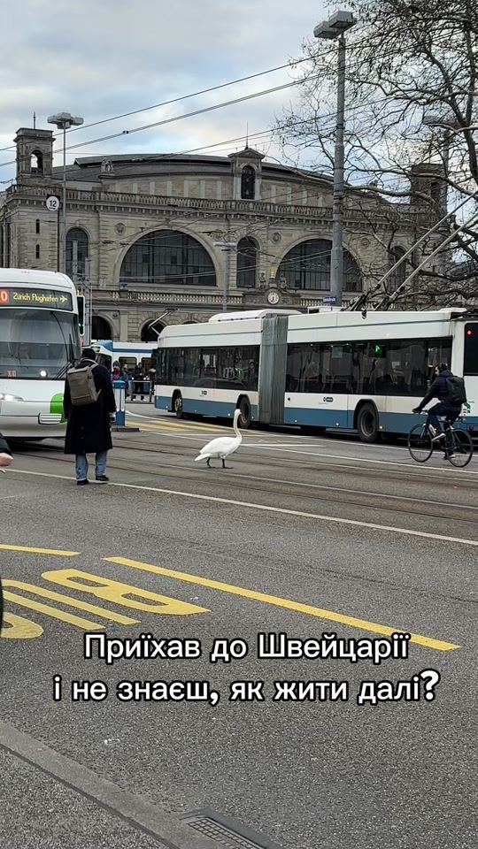 TikTok video thumbnail by olesiatarasenko