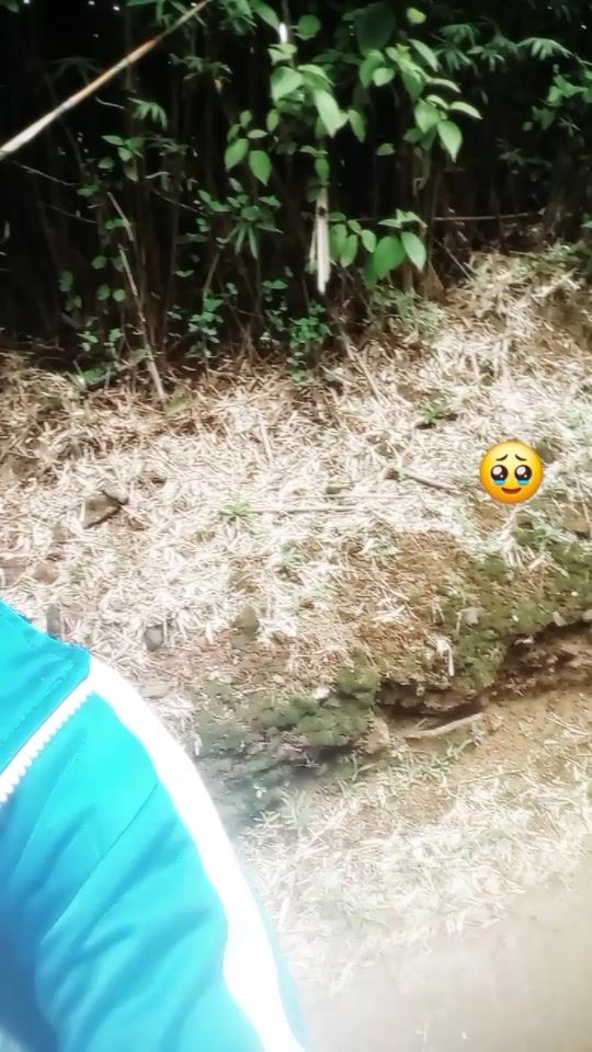 TikTok video thumbnail by leoevremontthomas.c