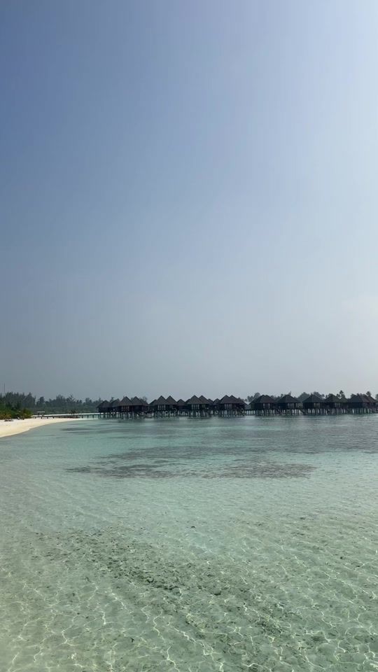 TikTok video thumbnail by mishevskkaaa