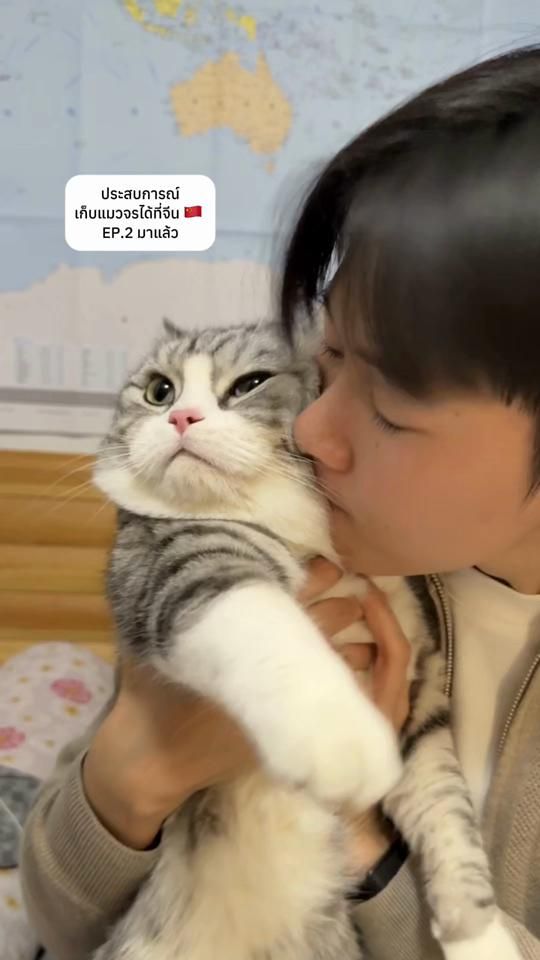 TikTok video thumbnail by jungjing_13