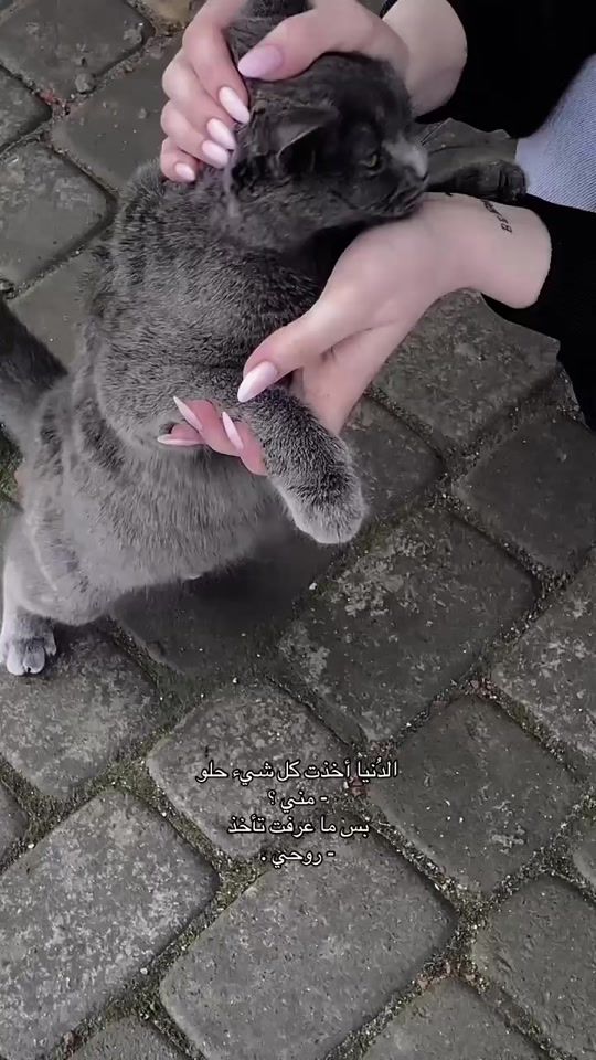 TikTok video thumbnail by priiv._98